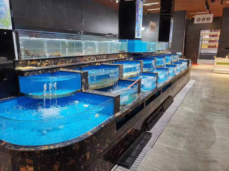 亚克力鱼缸的选购和保养技巧，海鲜池/鱼缸 定制设计 维护